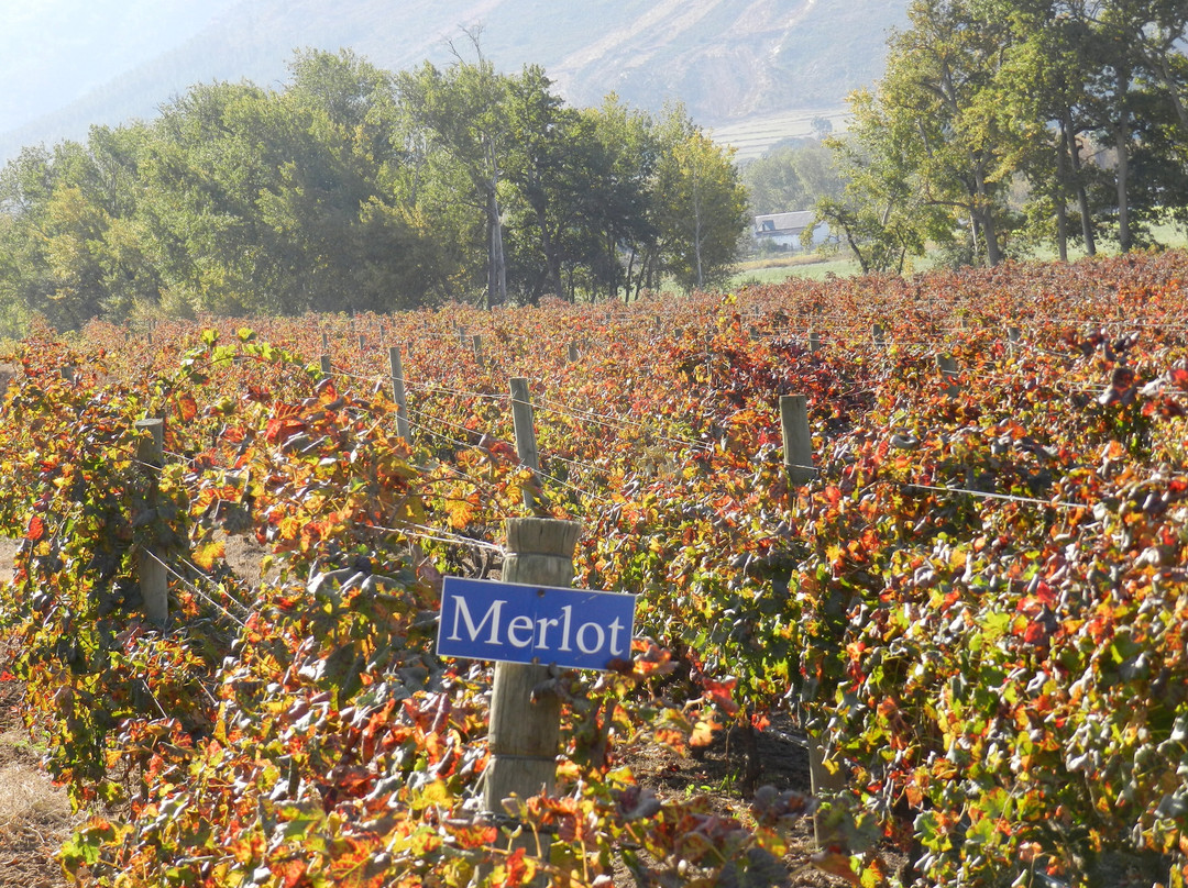 Rickety Bridge Wine Estate-法兰舒克必去景点