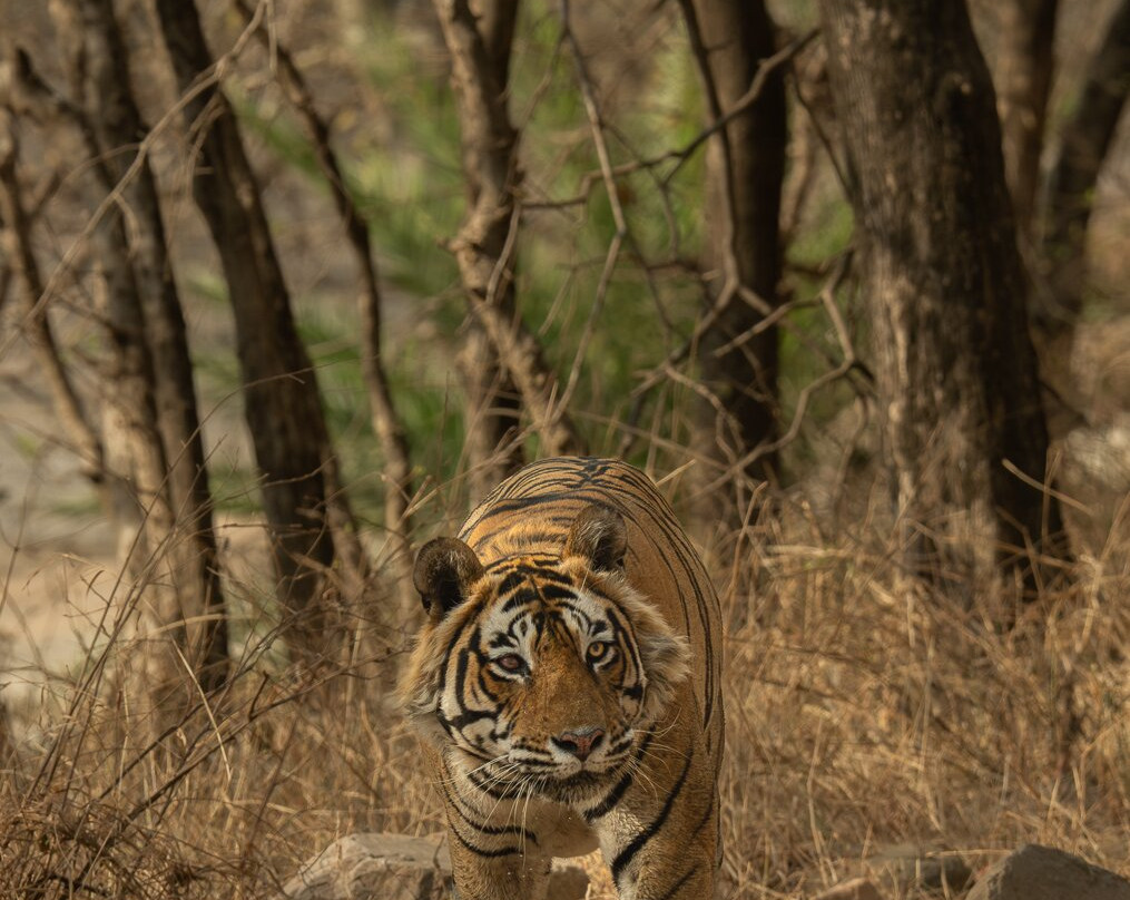 Sudhir Shivaram Photography-班加罗尔必去景点