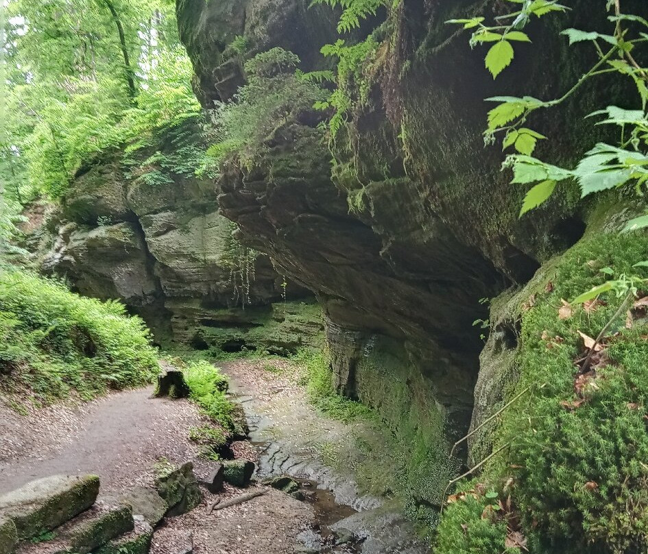 Gorges Du Loup-埃希特纳赫必去景点