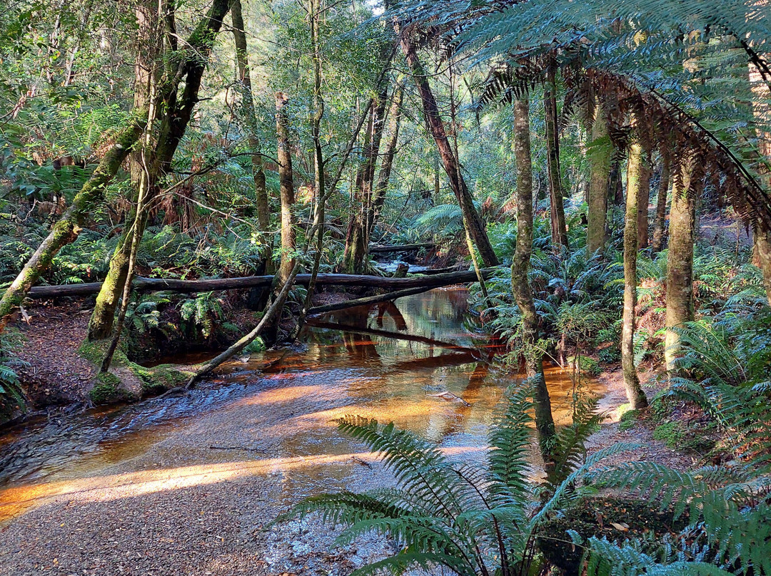 Hogarth Falls-斯特拉恩必去景点