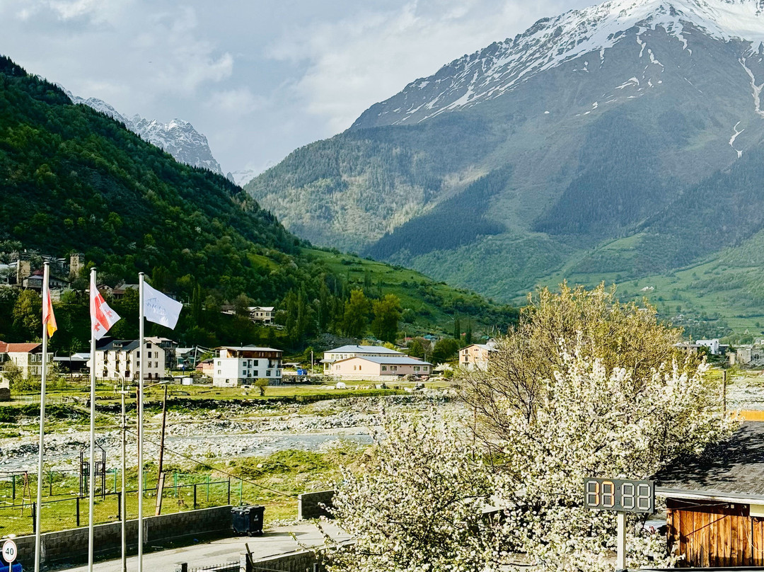 Gistola Hotel In Mestia主图