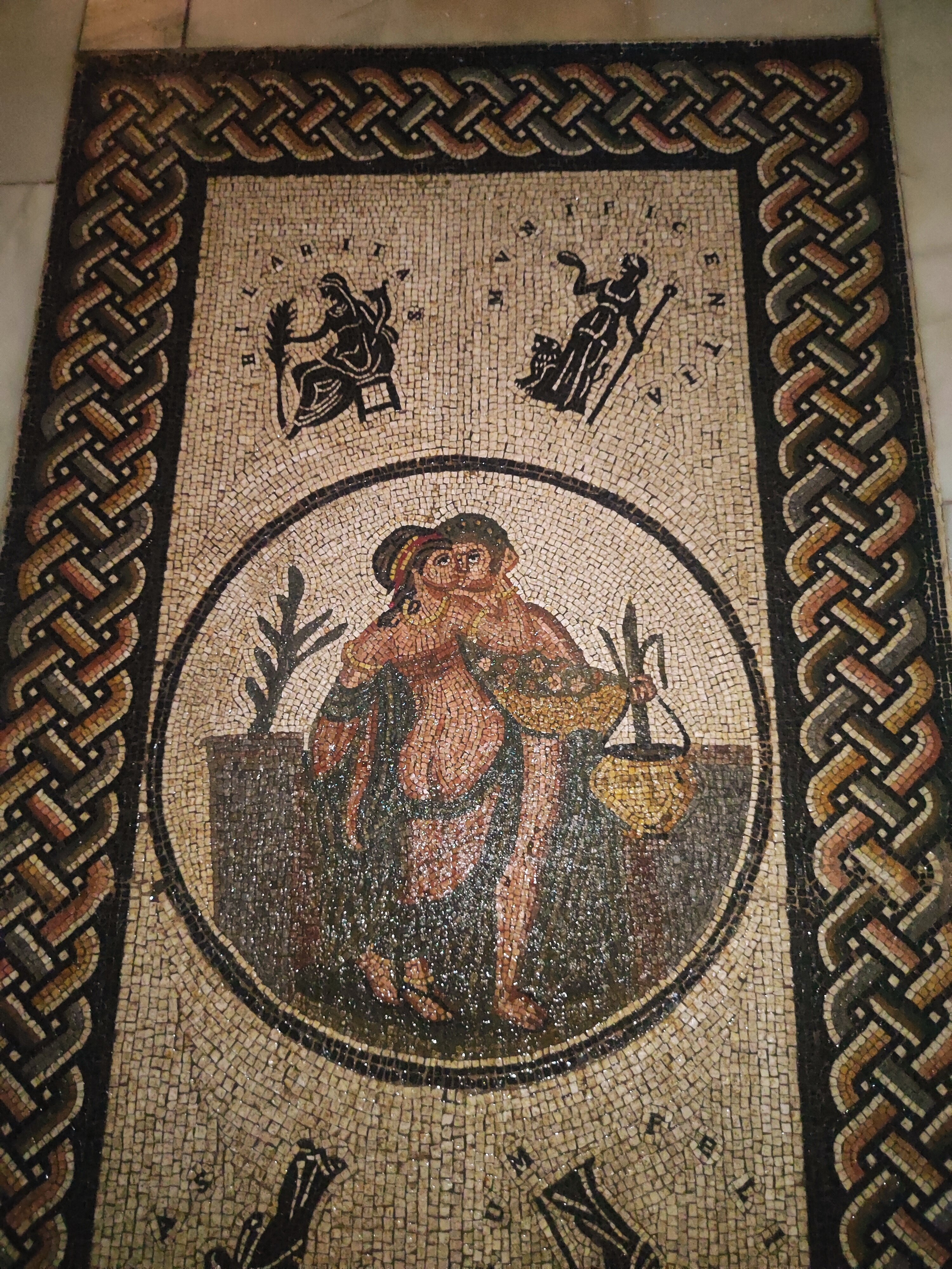 Termas Aqua Libera-泳池