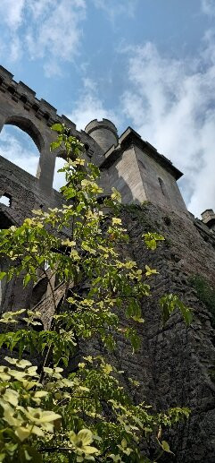 Lowther Castle and Gardens景点图片