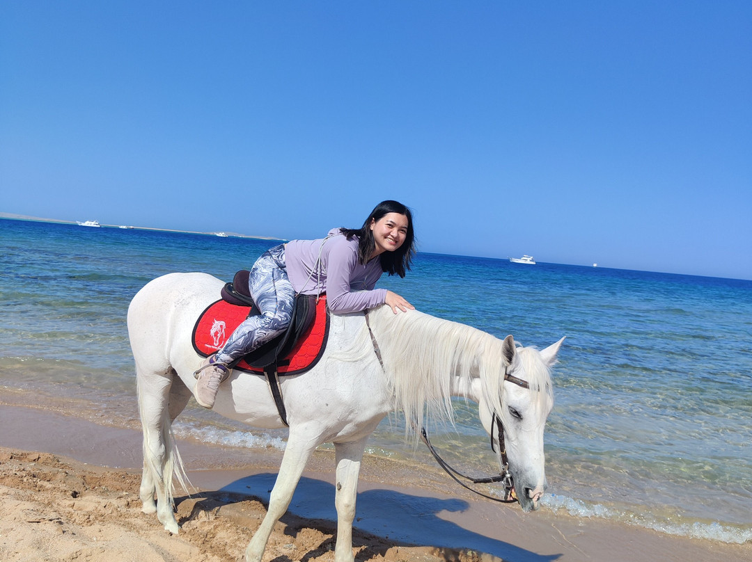 Happy Horse Stable Magawish Horseriding-赫尔格达必去景点