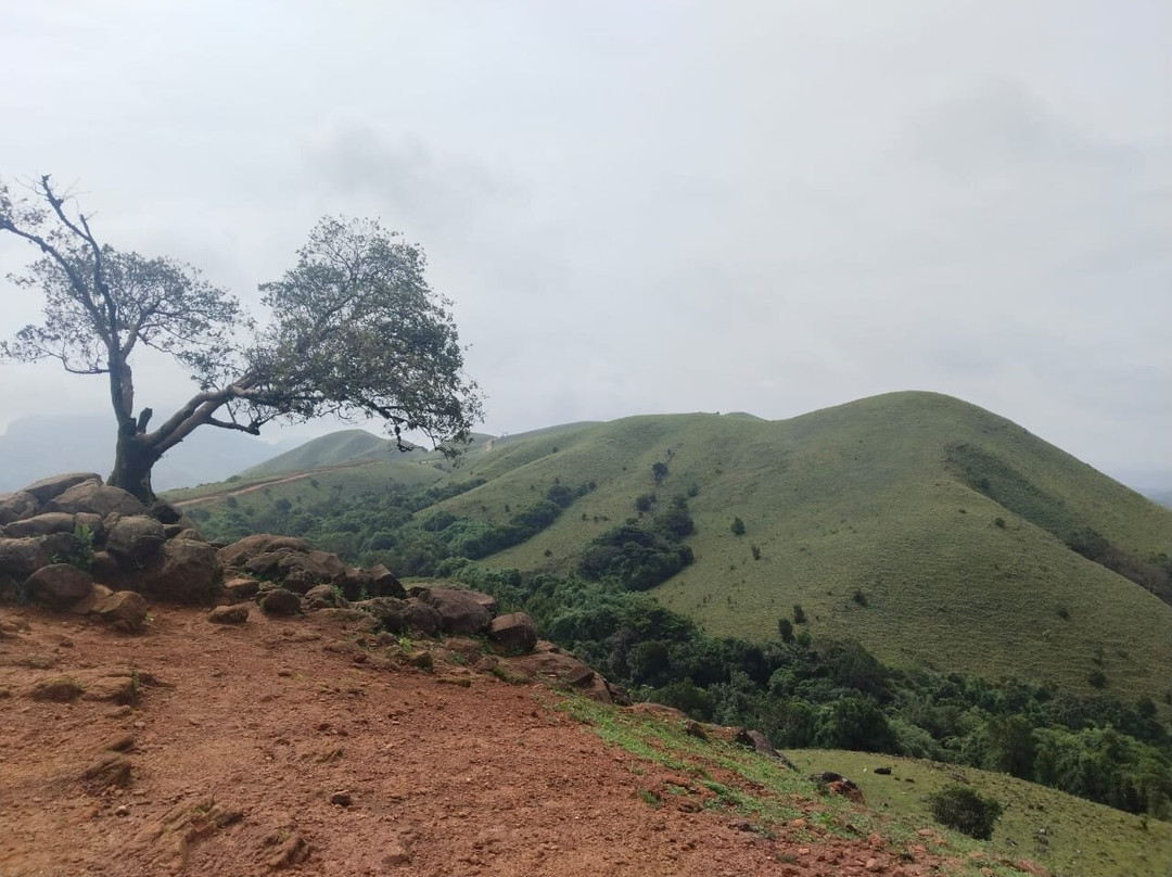 Mandalpatti Peak-马蒂科里必去景点