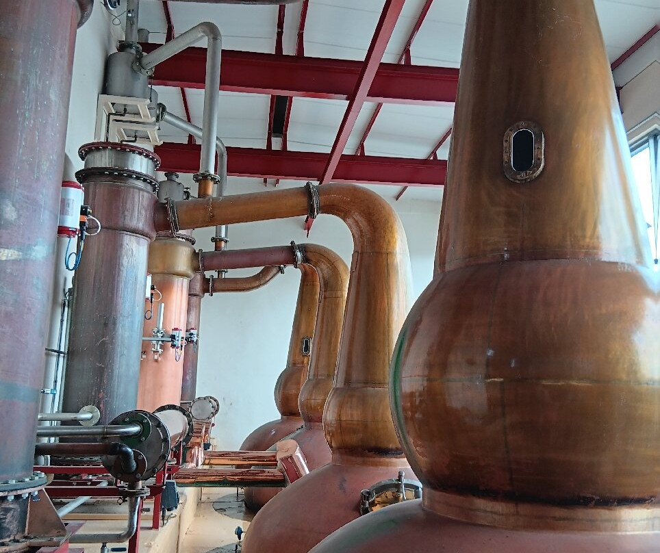 The Glendronach Distillery-Forgue必去景点