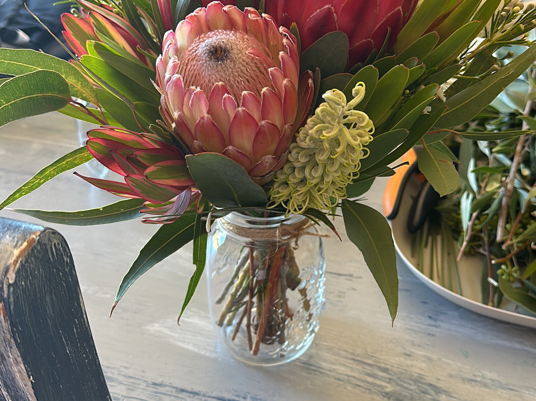 Yelverton Protea Farm景点图片