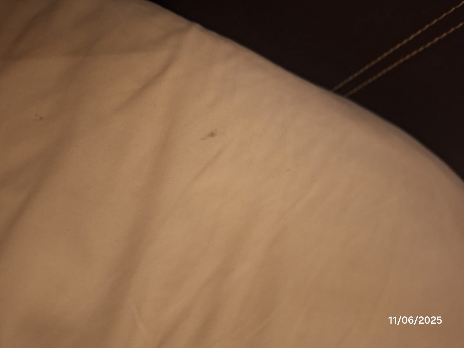 Hotel Premier-官方
