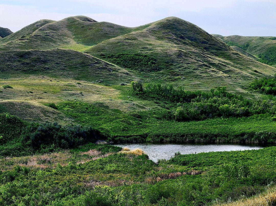 Saskatchewan Landing Provincial Park-Stewart Valley必去景点