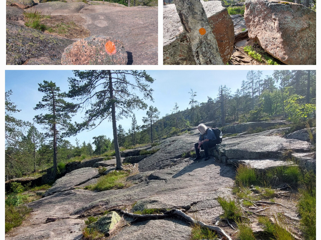 Skuleskogen Nationalpark-Ornskoldsvik必去景点