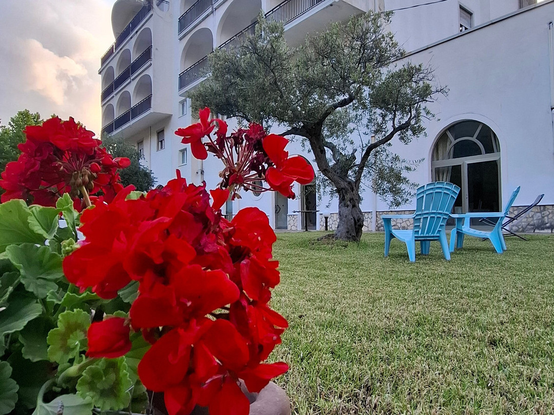 Hotel Parco delle Rose主图