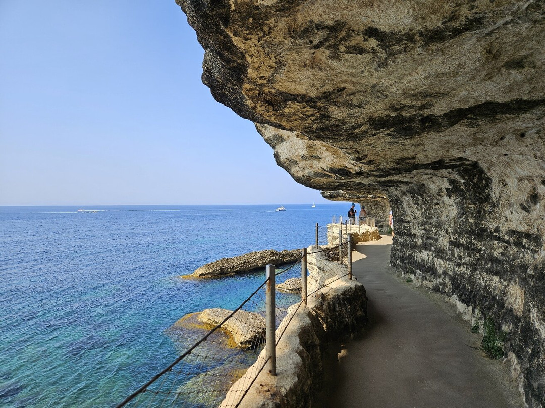 Escalier du Roi d'Aragon景点图片