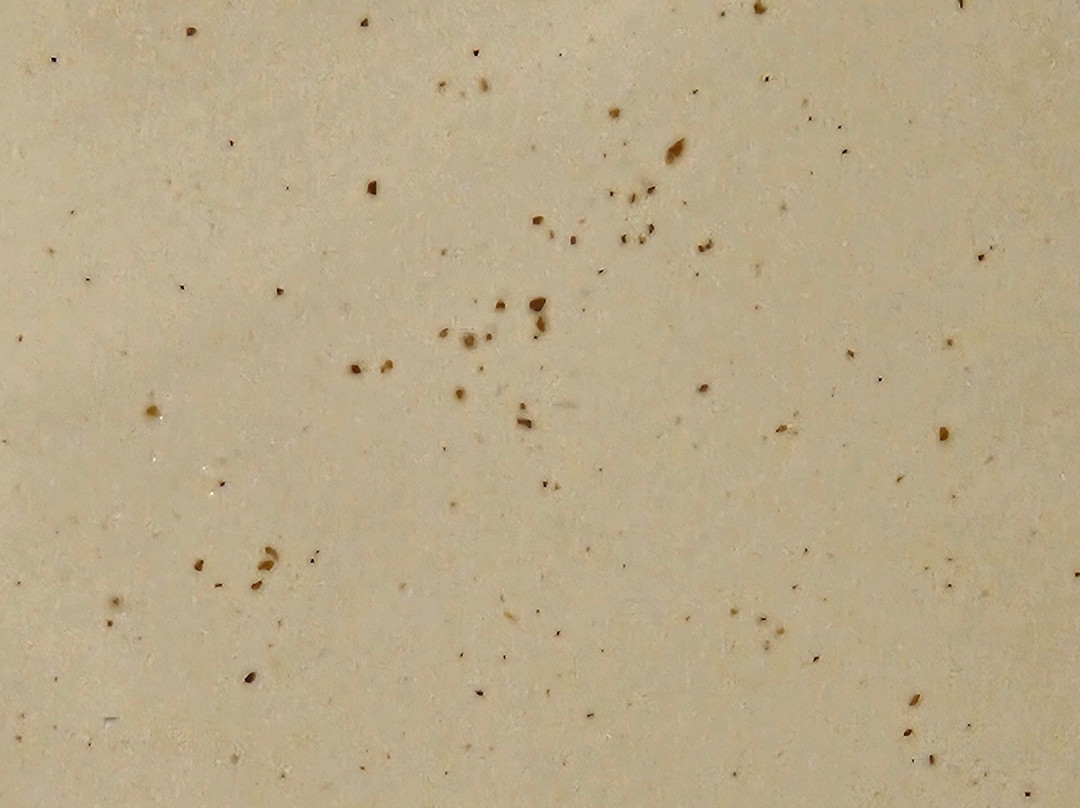 Ocean House Hotel at Bass Rocks主图