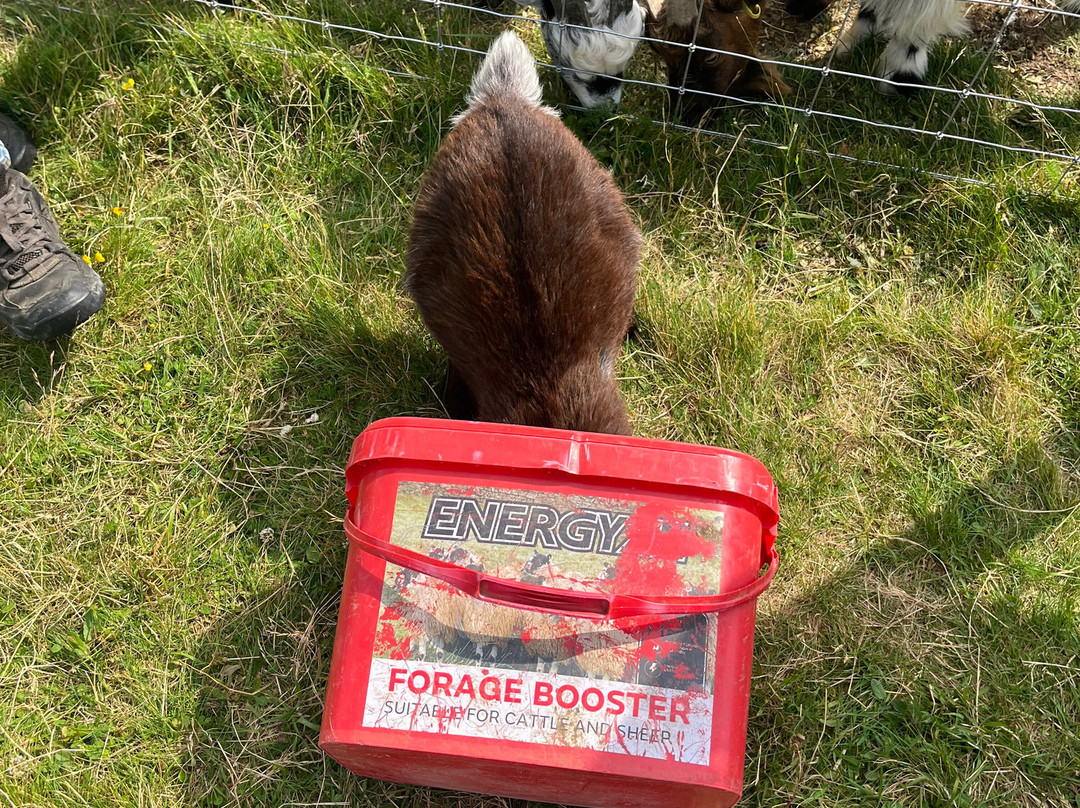 Invercannich Farm-Cannich必去景点