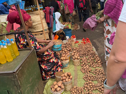 Safari by Leo-莫西必去景点