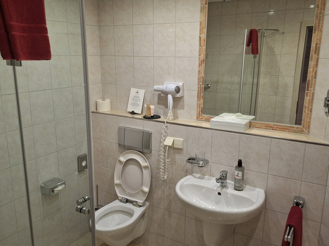 恩格尔霍恩酒店主图