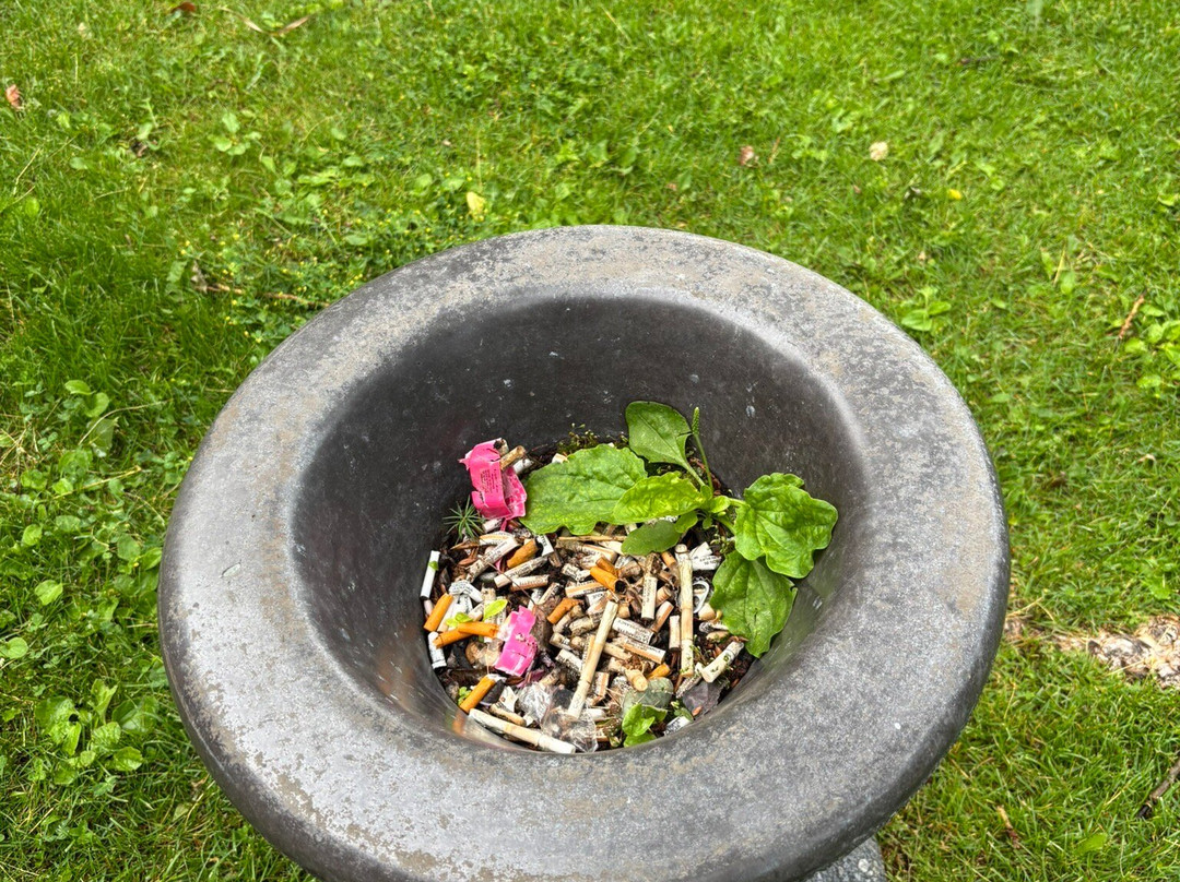 Lakeside Motel主图