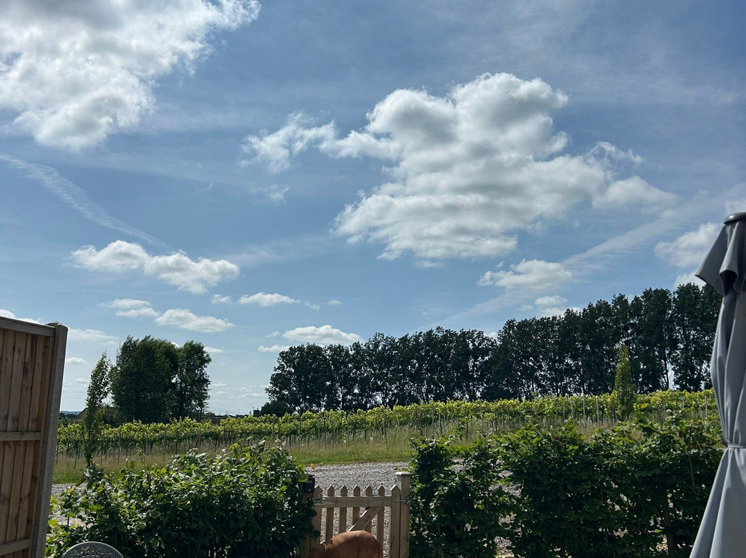 Wraxall Vineyard-Wraxall必去景点
