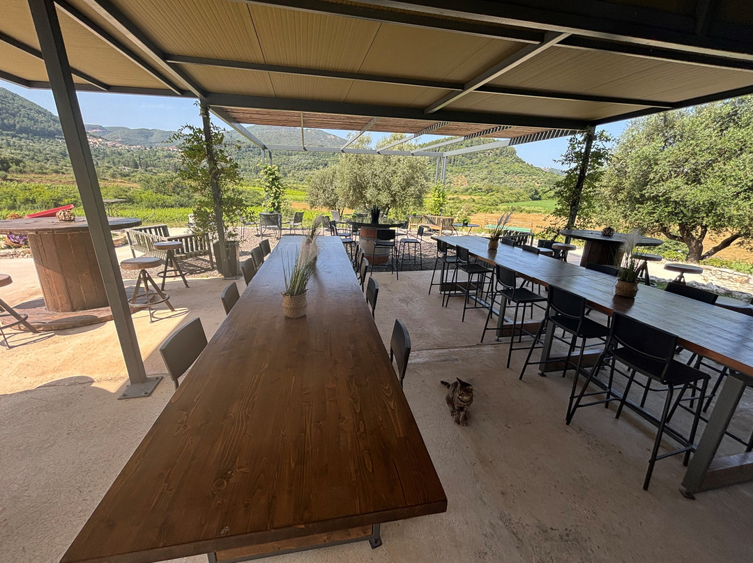 Zervas Winery-Igoumenitsa必去景点