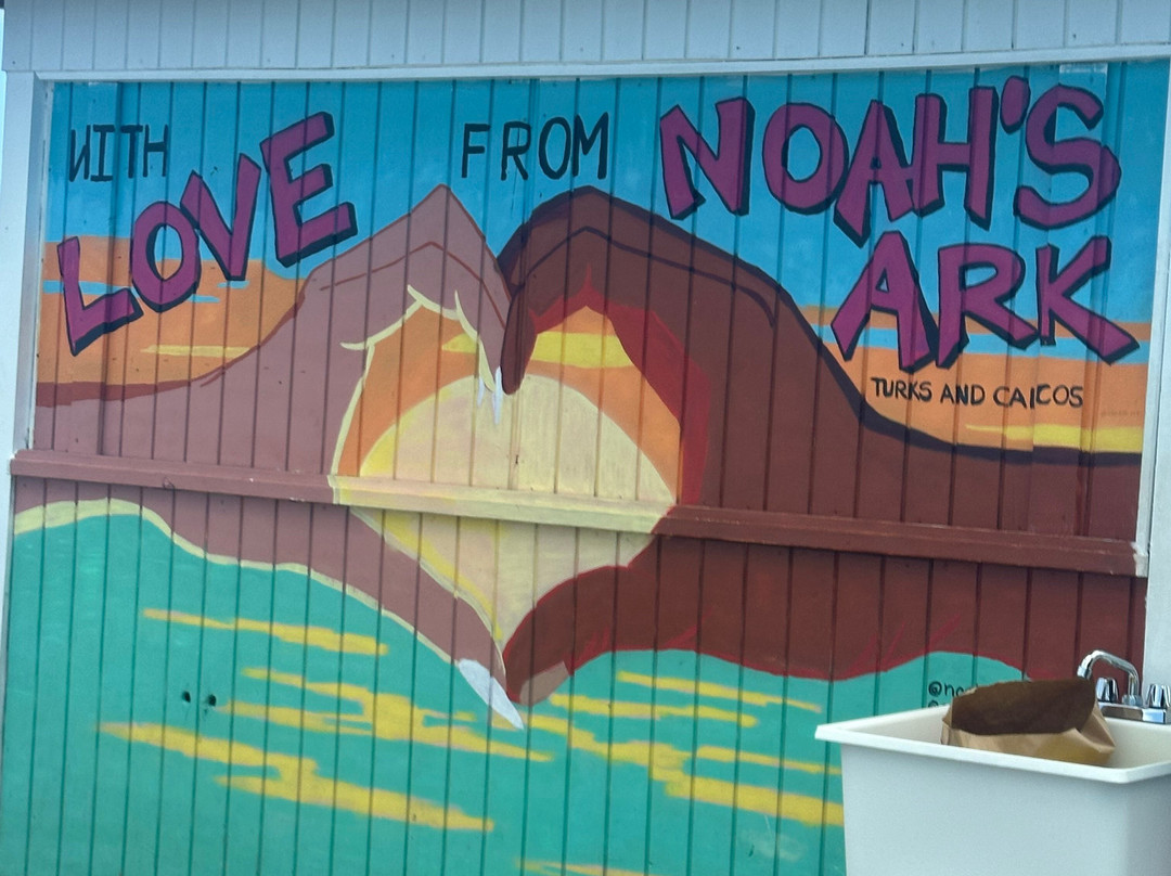 Okeanos Charters-格雷斯湾必去景点