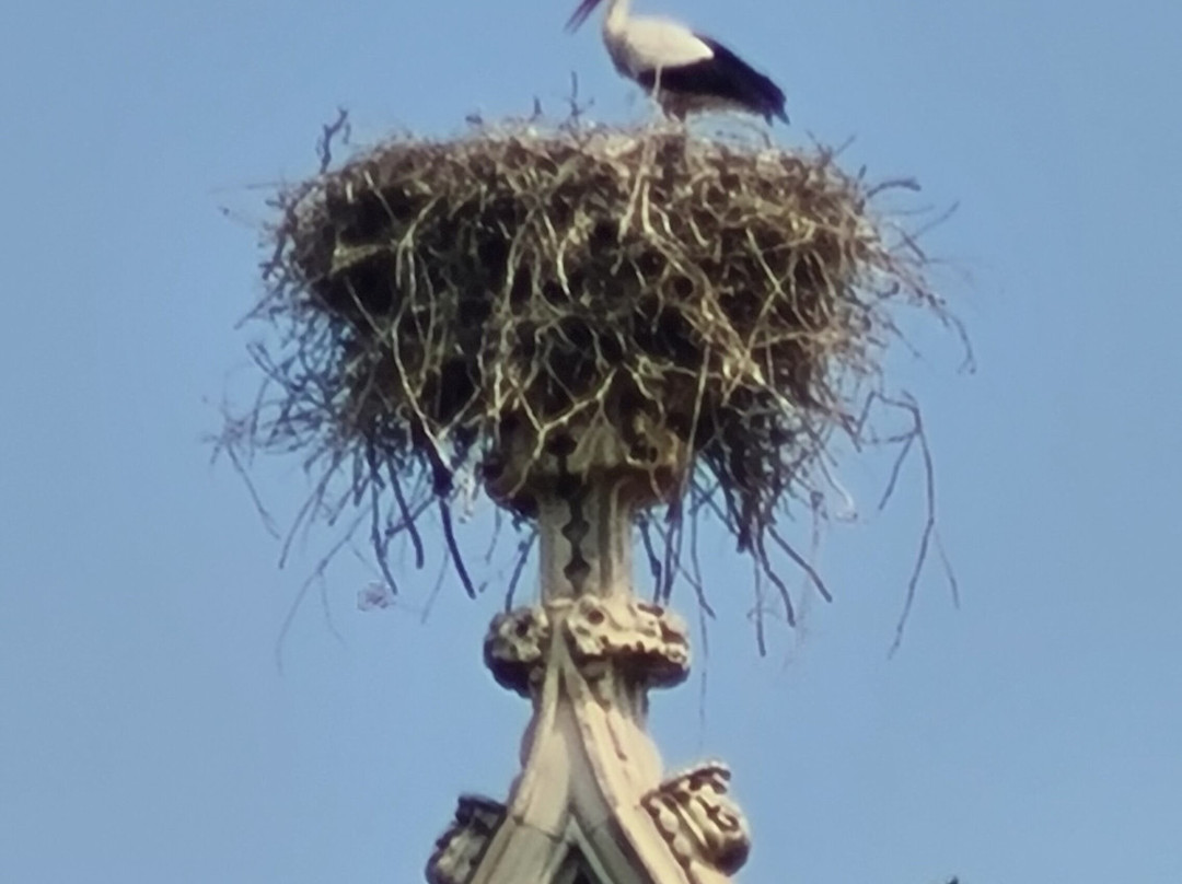 Castello di Racconigi-Racconigi必去景点