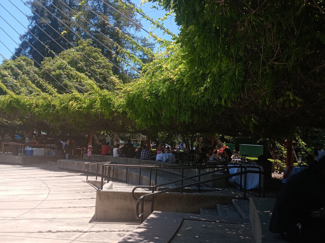 Central Park-圣克拉拉必去景点