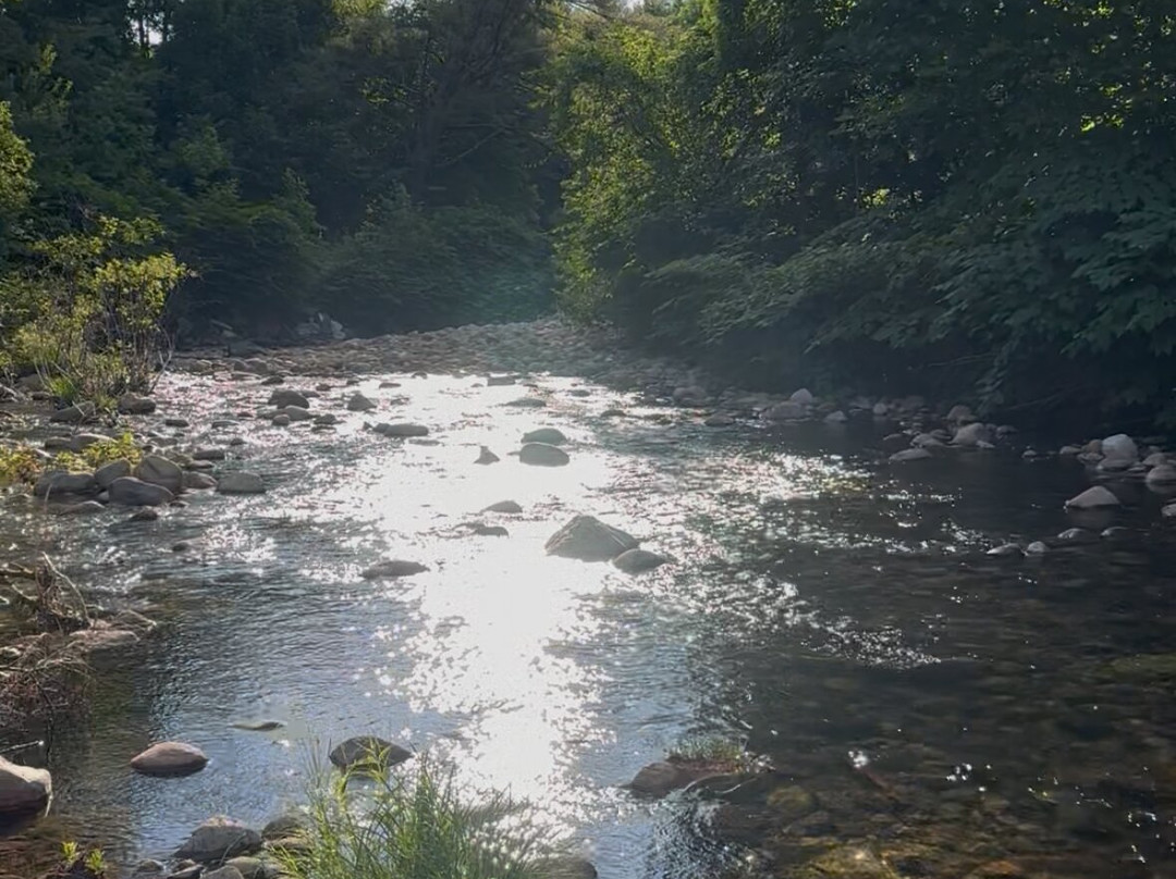 Namaste Inn Bed & Breakfast主图