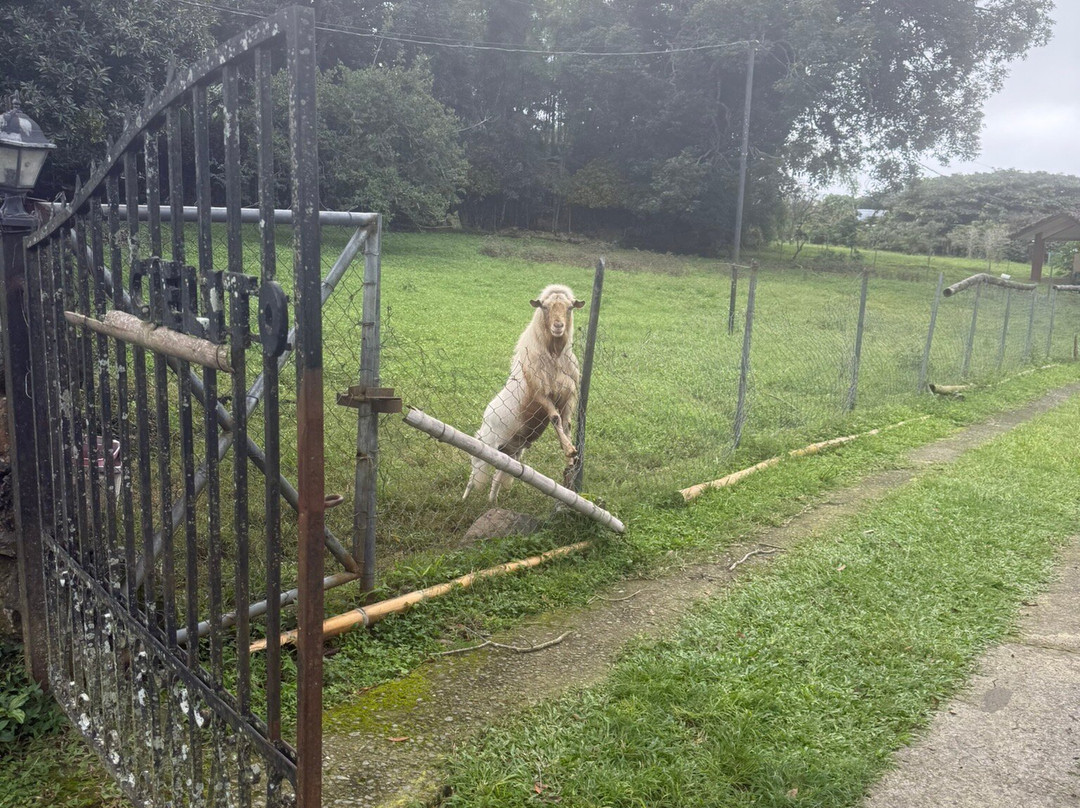 Jungla de Panama Wildlife Refuge-波魁特必去景点