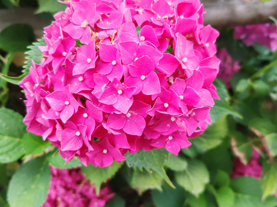 Balneario Elgorriaga主图