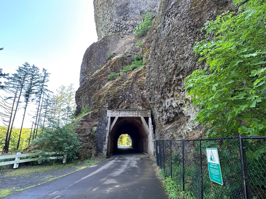 Oneonta Gorge-Cascade Locks必去景点
