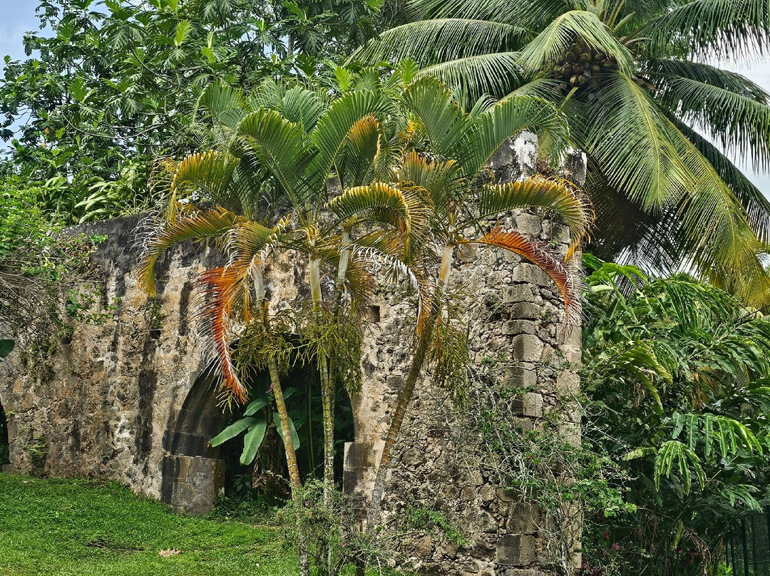 Vanibel-Vieux-Habitants必去景点