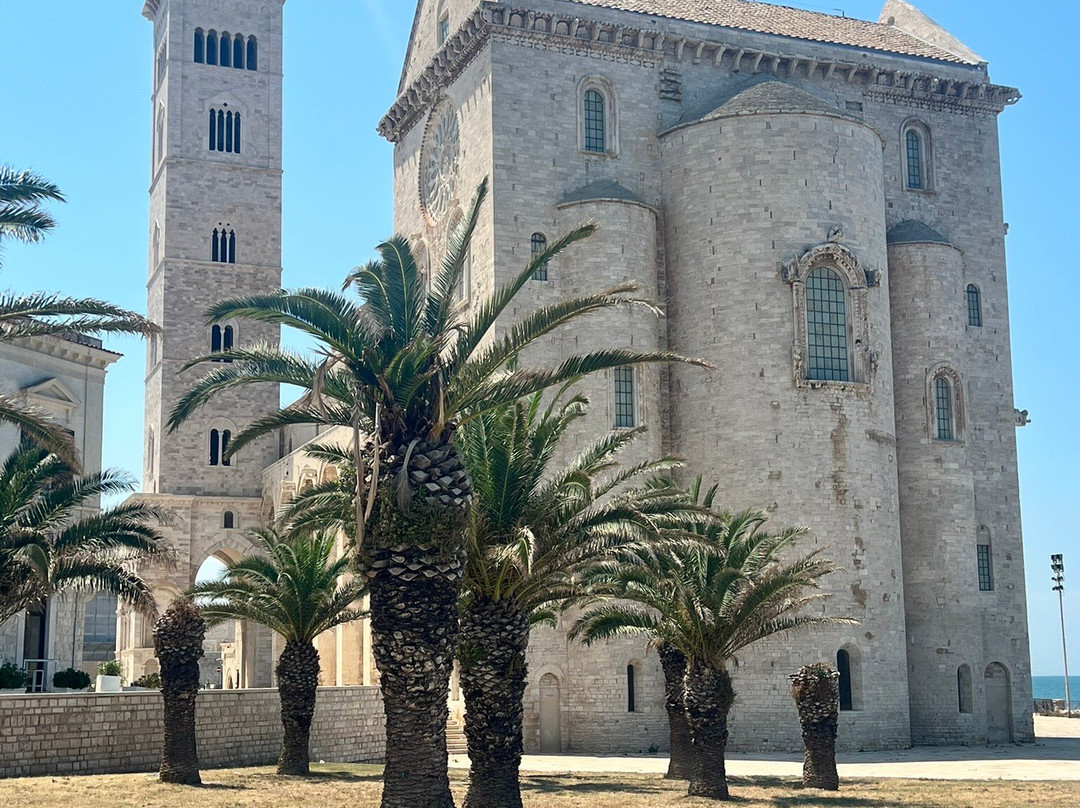 Porto di Trani-特拉尼必去景点