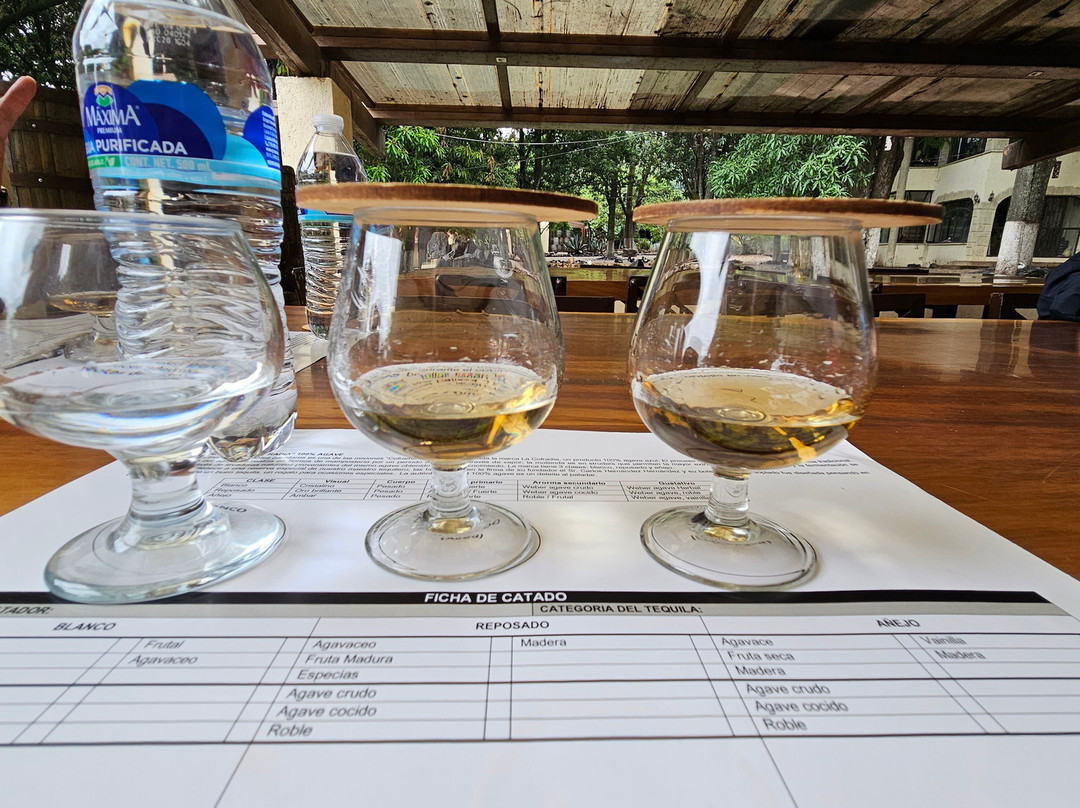 Matices Hotel de Barricas主图