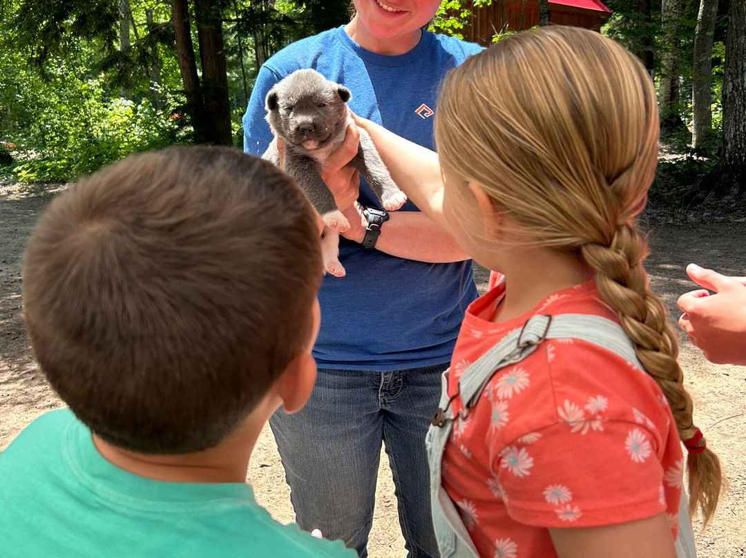 MIDOG - Michigan's Summer Sled Dog Center-Newberry必去景点