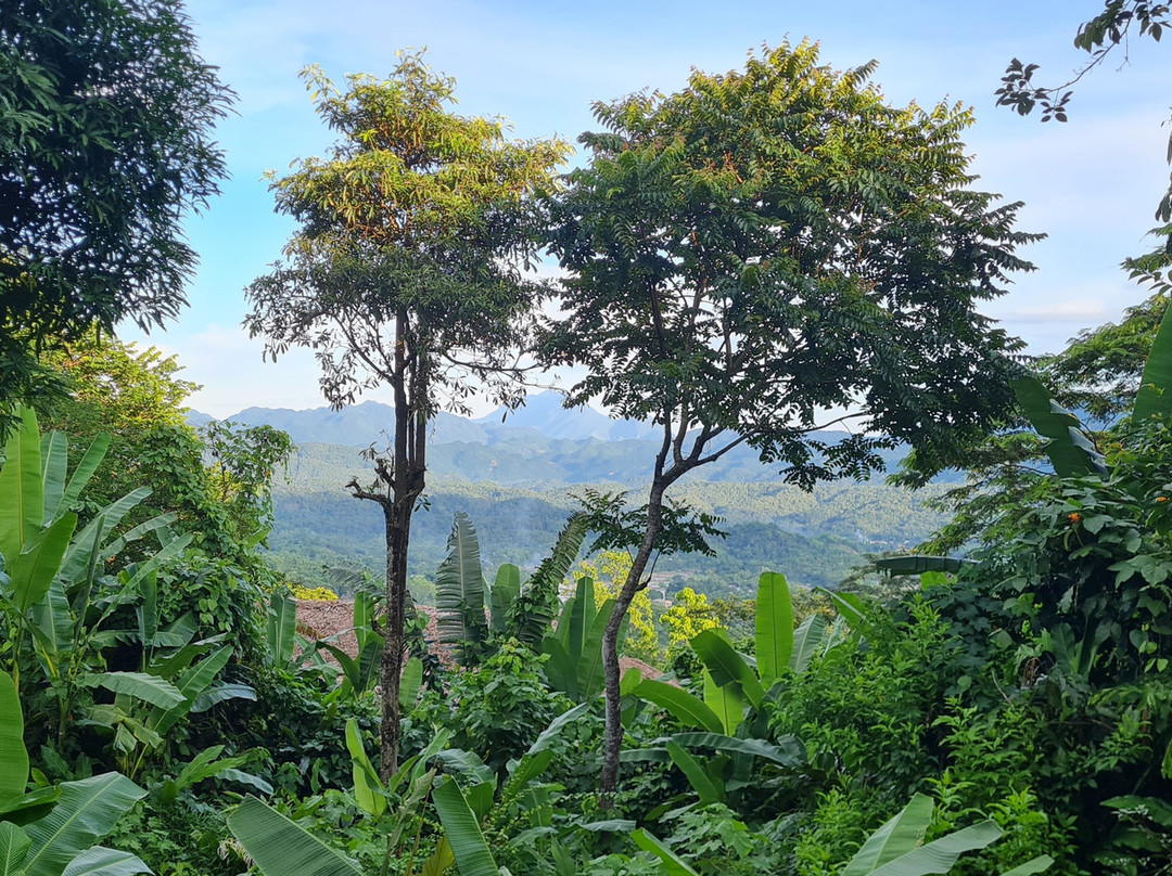 Avana Retreat主图