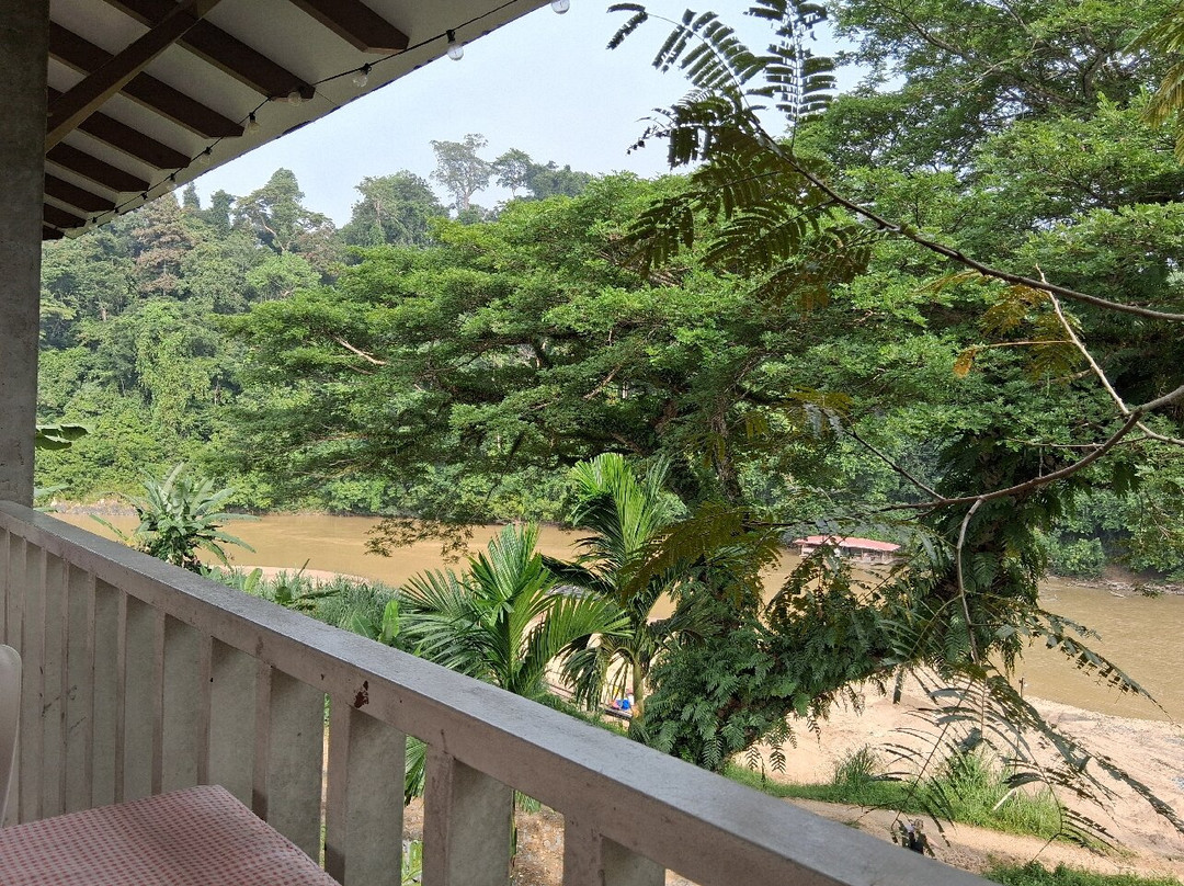 TEBiNG Guesthouse Taman Negara Malaysia Kuala Tahan主图