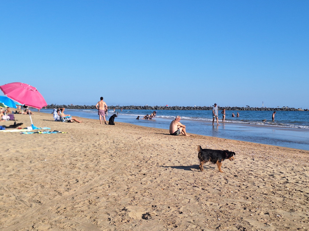 Playa de Punta Umbria-Punta Umbria必去景点