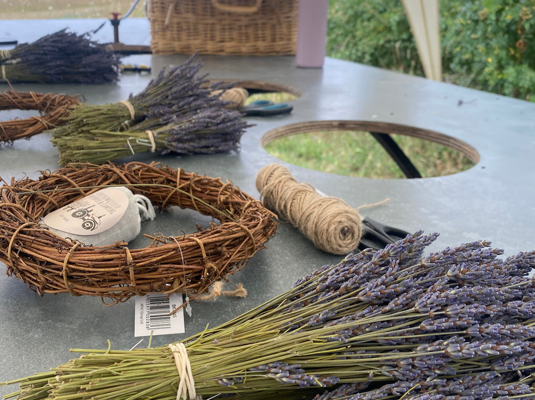 Finchingfield Lavender-Finchingfield必去景点