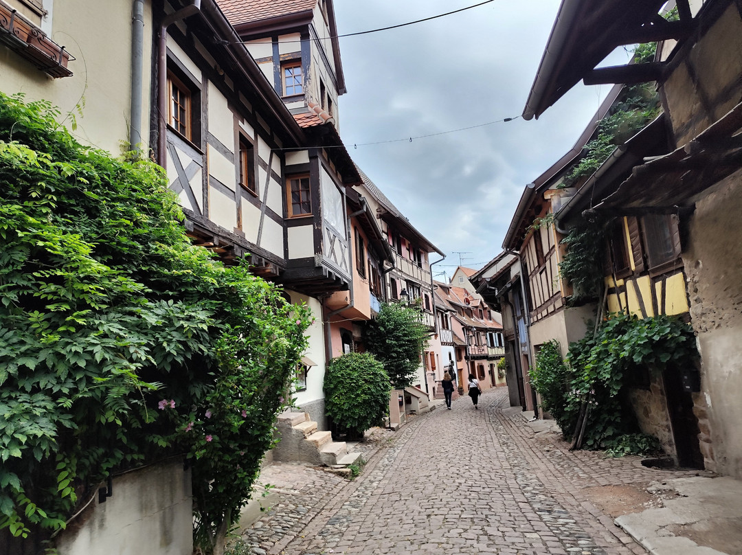 Vieille ville d'Eguisheim-艾古斯汉必去景点
