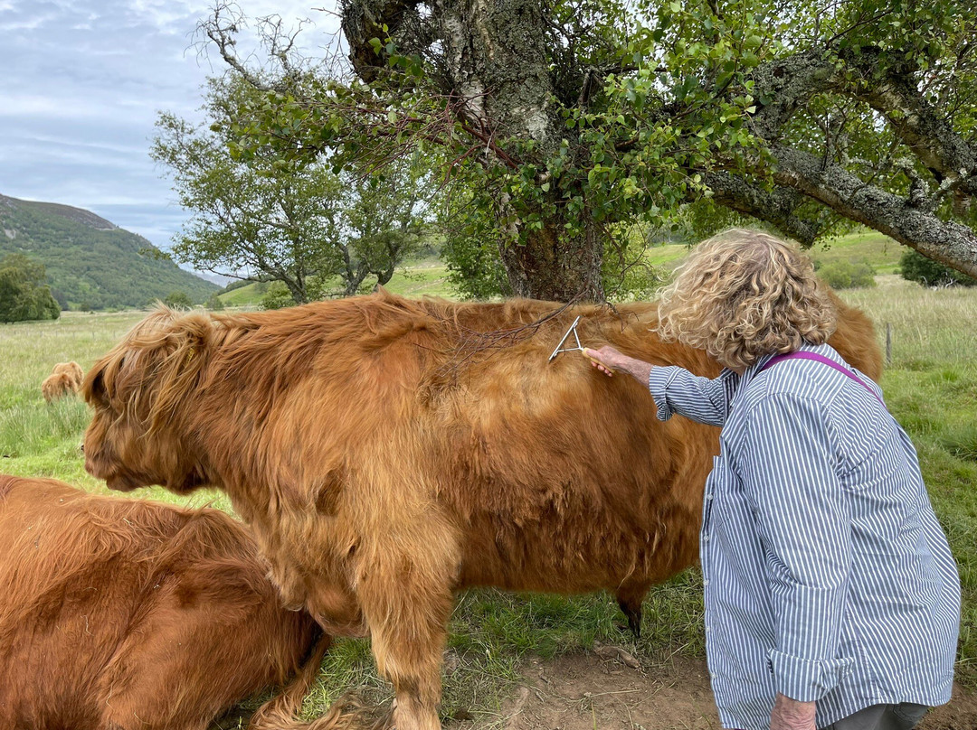 Spey River Farm-Newtonmore必去景点
