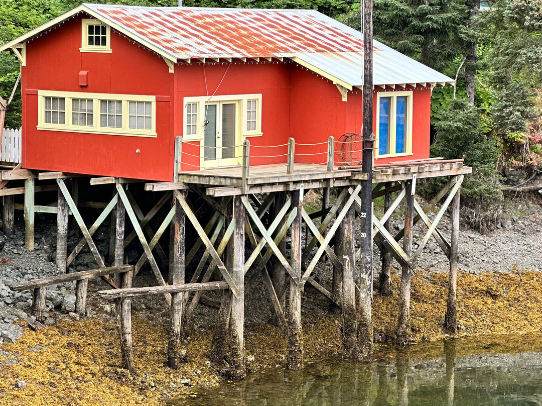 Seldovia Nature Tours-Seldovia必去景点