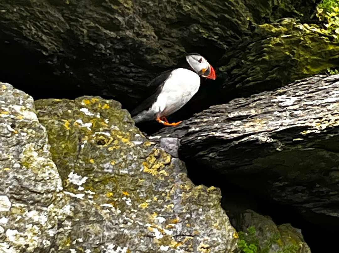 Skellig Tours-Caherdaniel必去景点