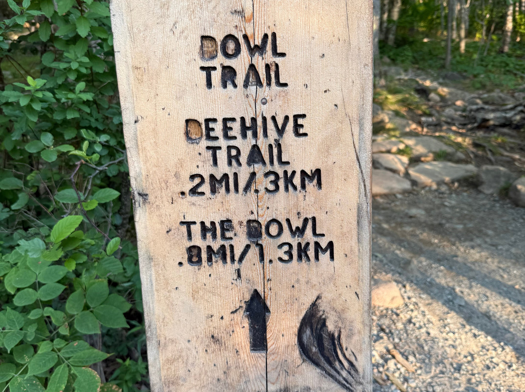 Champlain Mountain & Beehive Loop Trail-阿卡迪亚国家公园必去景点