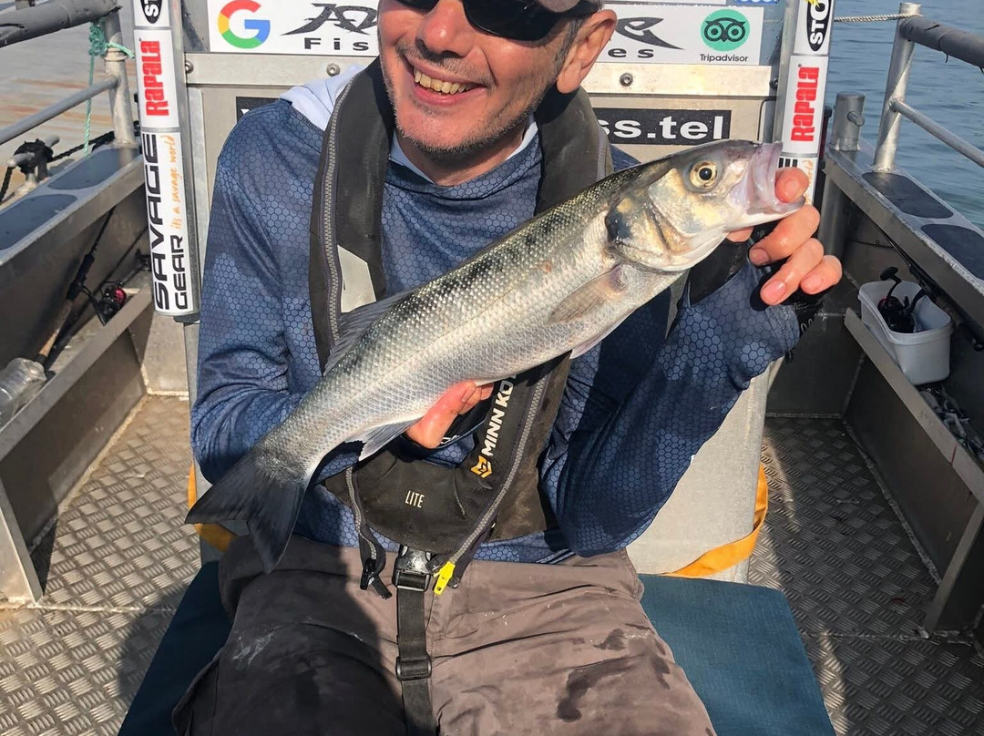 Awesome Fishing-Dale必去景点