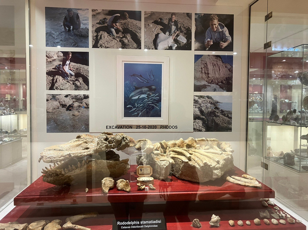 Museum of Mineralogy and Paleontology Stamatiadis-Ialysos必去景点