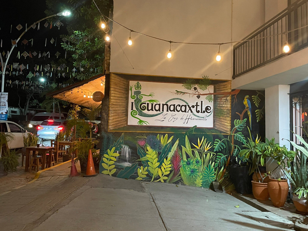 Iguanacaxtle