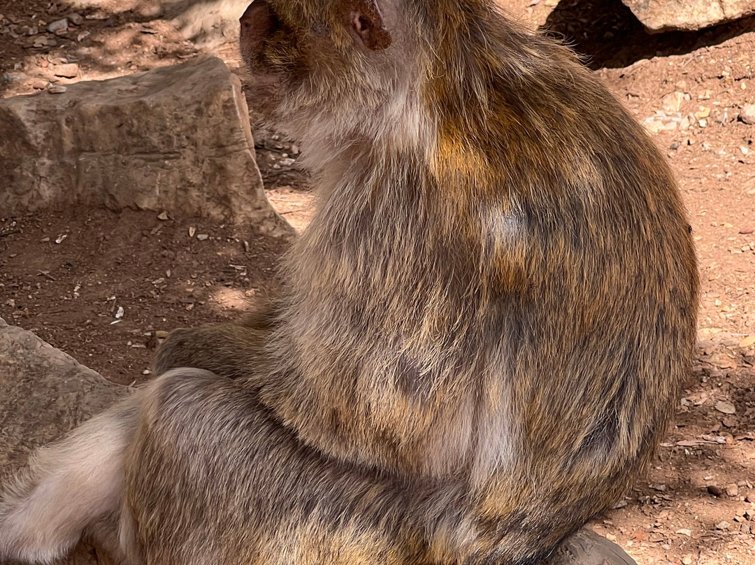 Viajar-Marruecos-马拉喀什必去景点