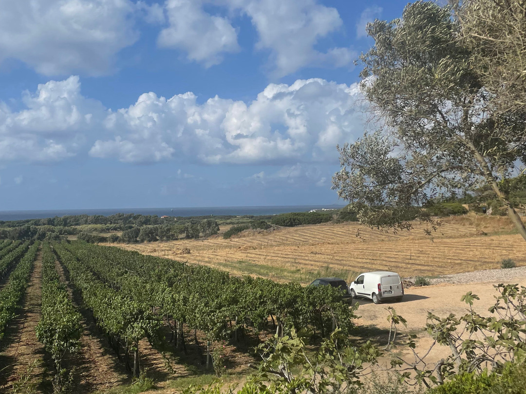 Cantina Ligios-La Muddizza必去景点