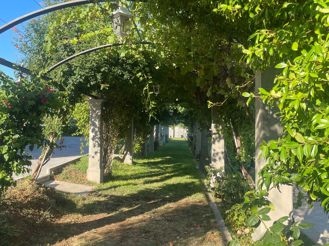 Hotel Puglia Garden主图