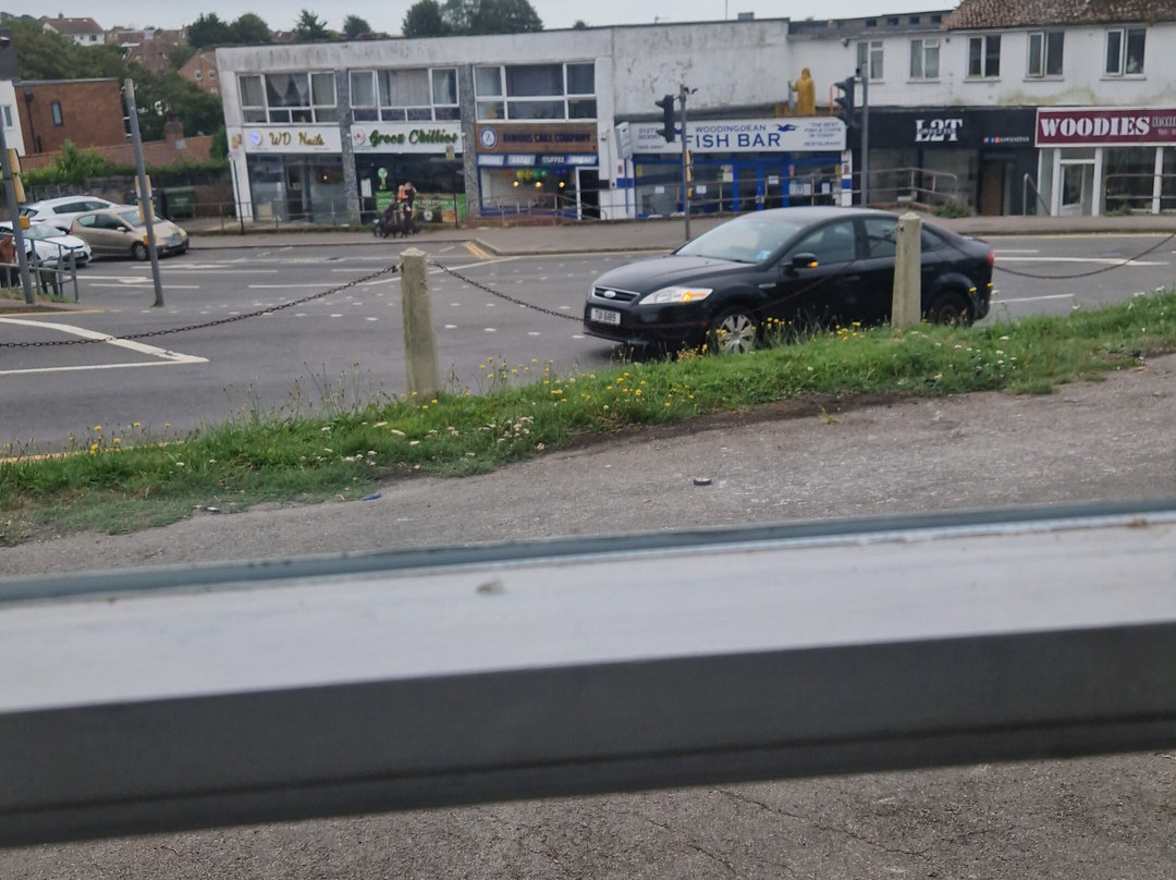 The Downs Hotel主图